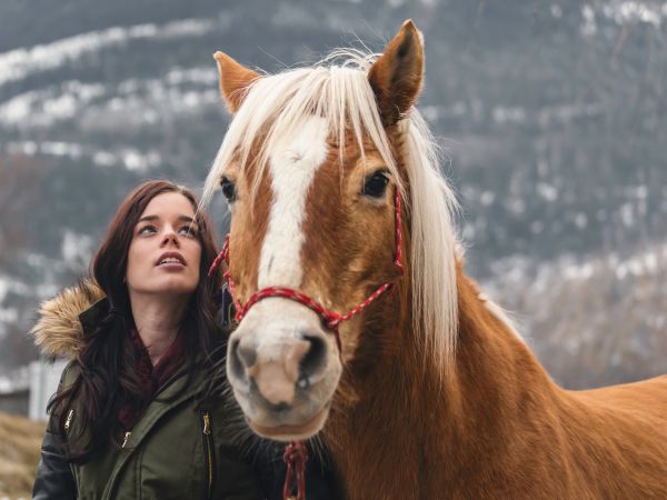 vrouw staat naast paard en kijkt omhoog