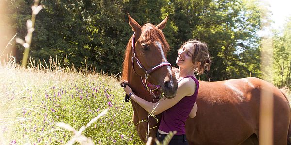 ruiter met paard in weiland na een western rijden les